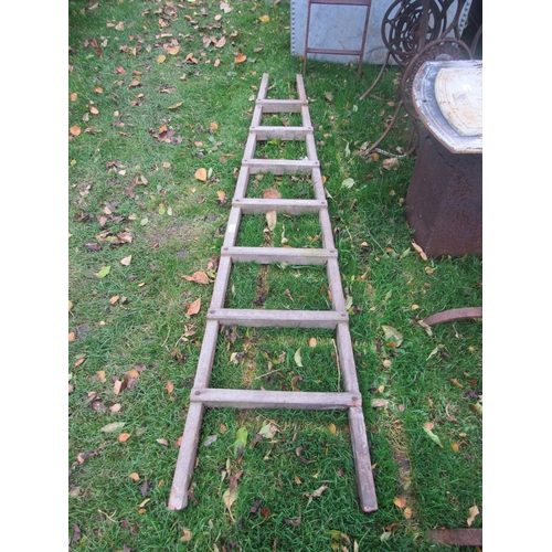 9179 - A wooden orchard ladder