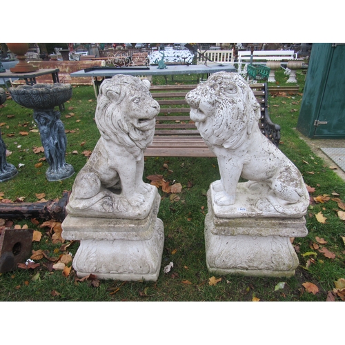 9473 - A pair of composition seated lions on shaped acanthus leaf plinths, 40