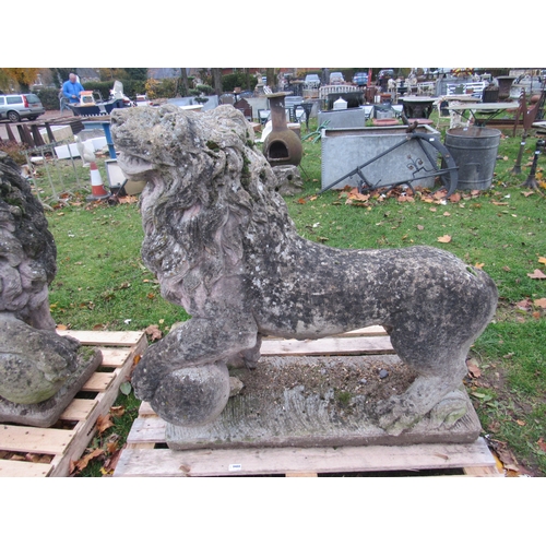 9488 - A pair of weathered composition standing lions, the front paw raised on ball, 41