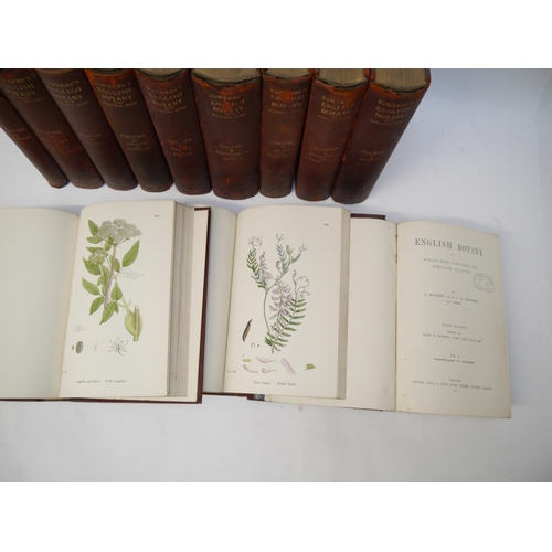 6327 - James Sowerby, J.E. Sowerby and others: 'English Botany or Coloured Figures of British Plants', Lond... 