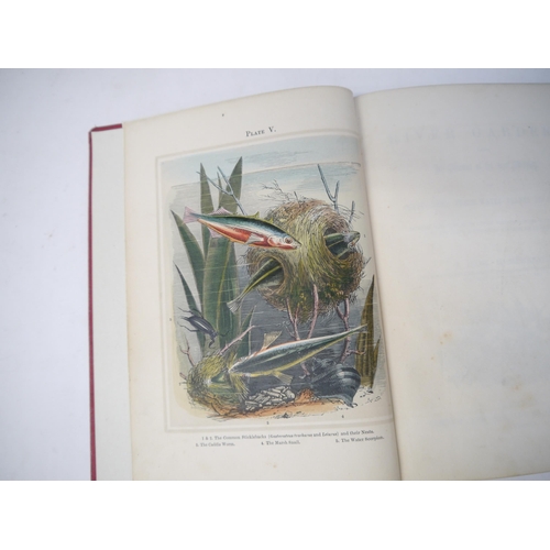 6320 - A box of 29 assorted natural history volumes, 15 of which Wayside and Woodland series titles includi... 