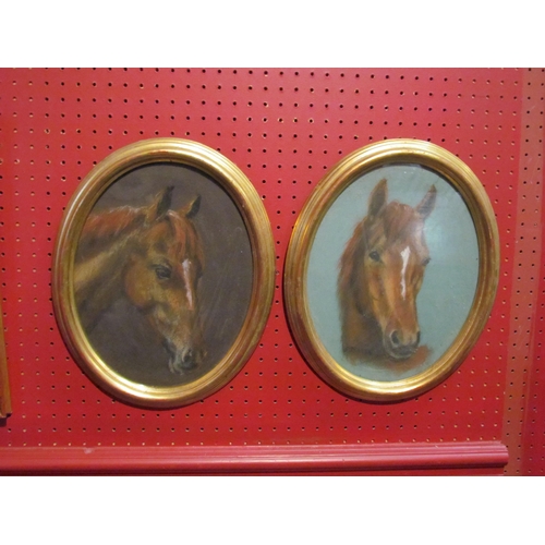 4050 - Two pastels depicting horse head portraits in oval gilt frames, both 29cm x 22cm image sizes