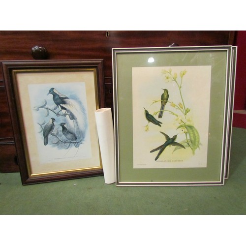 4133 - An Asian hand-painted silk picture of parrots on branches, framed and glazed, 48cm x 35cm image size... 