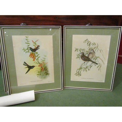 4133 - An Asian hand-painted silk picture of parrots on branches, framed and glazed, 48cm x 35cm image size... 