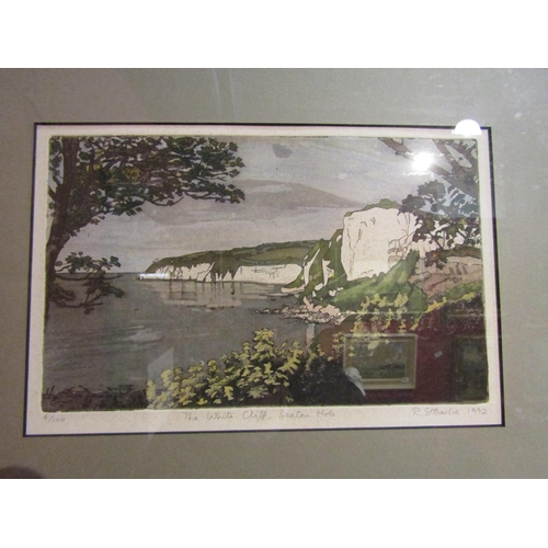 4086 - R. ST. BARBE (British Contemporary): A framed and glazed coloured etching 