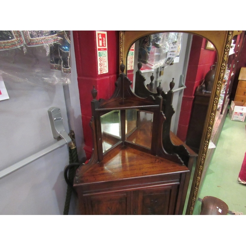 4176 - A 19th Century mahogany floor standing corner cupboard with mirrored back, 146cm tall x 56cm wide x ... 