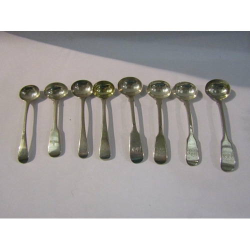 4388 - A selection of eight silver condiment spoons   (E) £30-40