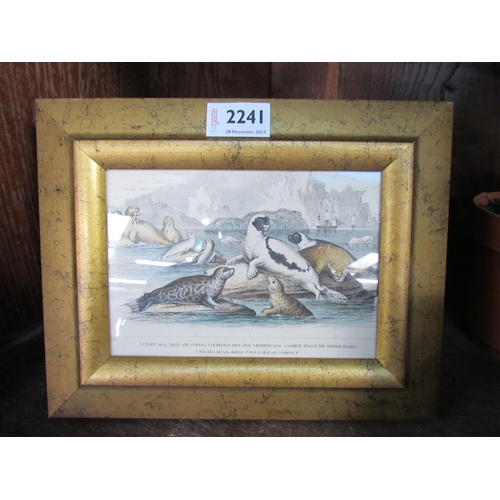 2241 - A 19th Century hand coloured print of seals, gilt frame