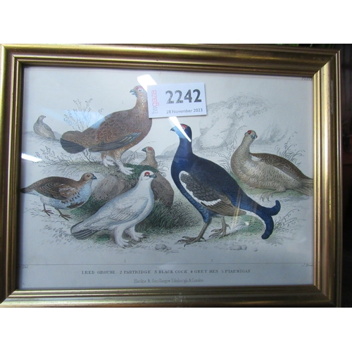 2242 - A 19th Century hand coloured print of Grouse