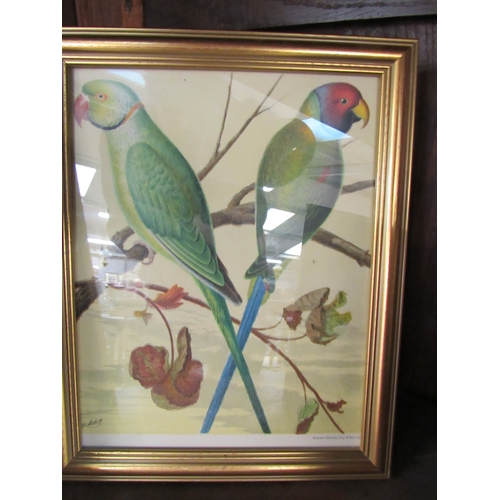 2246 - A pair of gilt framed Parrot pictures