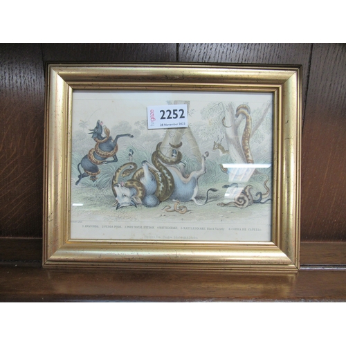 2252 - A 19th Century gilt framed print of snakes killing cows