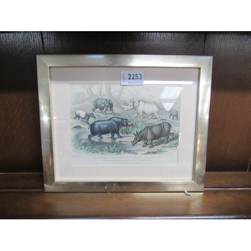 2253 - A 19th Century gilt framed print of Rhino's   (R)