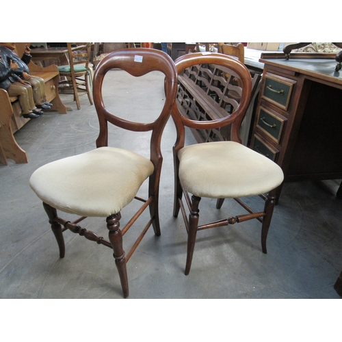 2283 - A pair of Victorian beech balloon back chairs   (E) £10-20