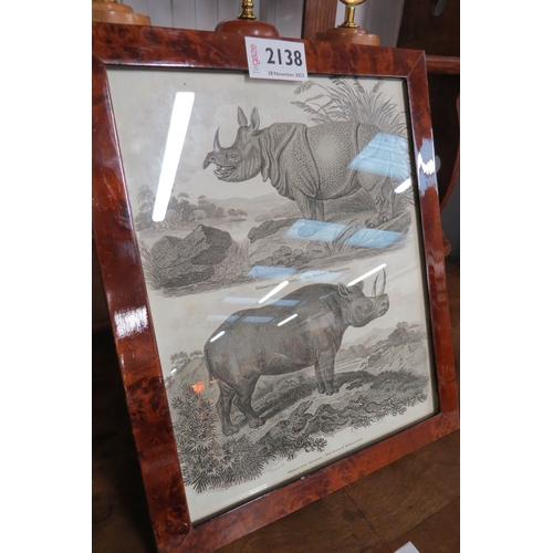 2138 - A Georgian black and white print of Rhino's in burr walnut frame