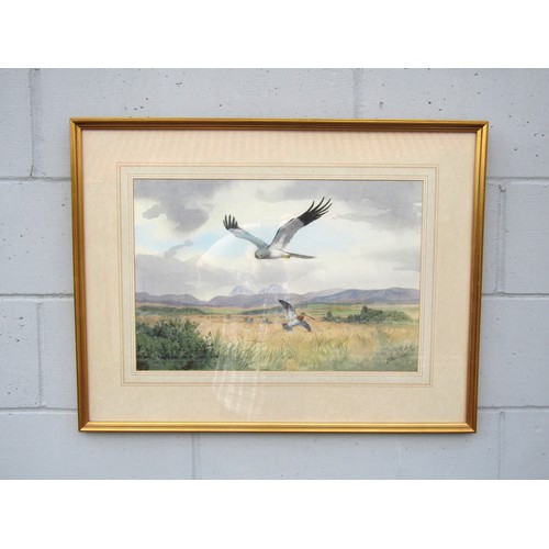 7470 - JOHN CYRIL HARRISON (1898-1985) (ARR) A framed and glazed watercolour of Hen Harrier flushing a Snip... 