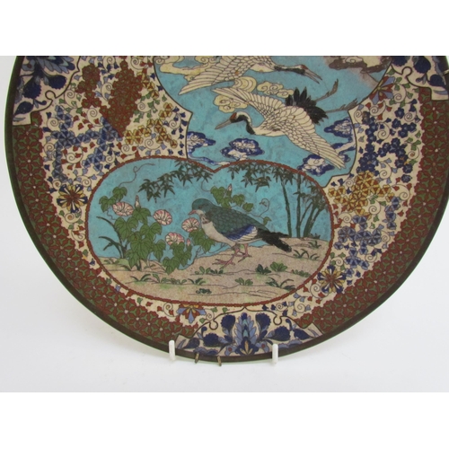 7481 - A pair of 19th Century Japanese cloisonné chargers, scenes of exotic birds, floral sprays and Mount ... 