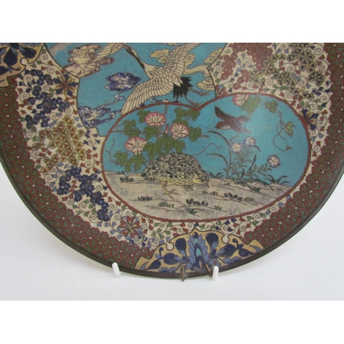 7481 - A pair of 19th Century Japanese cloisonné chargers, scenes of exotic birds, floral sprays and Mount ... 