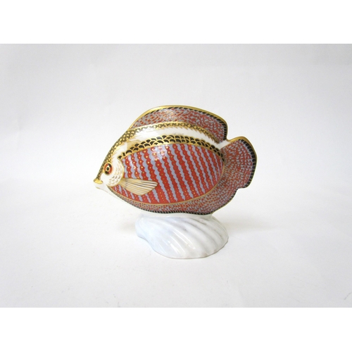 7494 - A Royal Crown Derby paperweight as a tropical fish, gold stopper