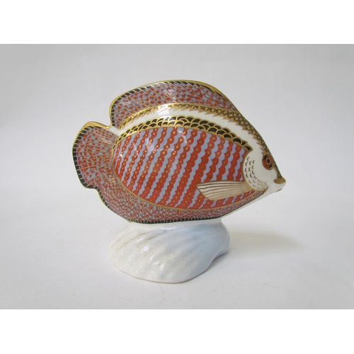 7494 - A Royal Crown Derby paperweight as a tropical fish, gold stopper