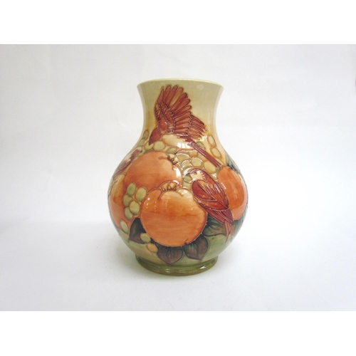 7578 - A Moorcroft Finches and Berries on ochre vase, 23.5cm tall