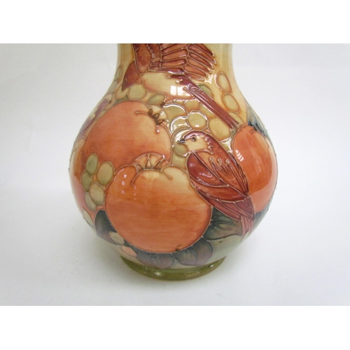 7578 - A Moorcroft Finches and Berries on ochre vase, 23.5cm tall