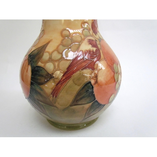 7578 - A Moorcroft Finches and Berries on ochre vase, 23.5cm tall