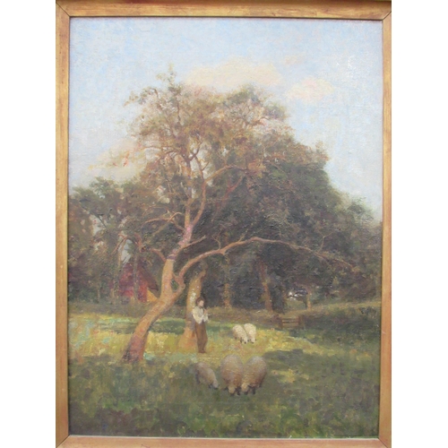 7007 - WITHDRAWN: English School late 19th Century rural landscape depicting sheep and shepherd in field wi... 