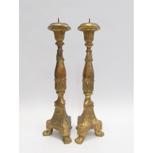 7026 - A pair of late 19th Century gilded wood pricket candlesticks, 47cm tall