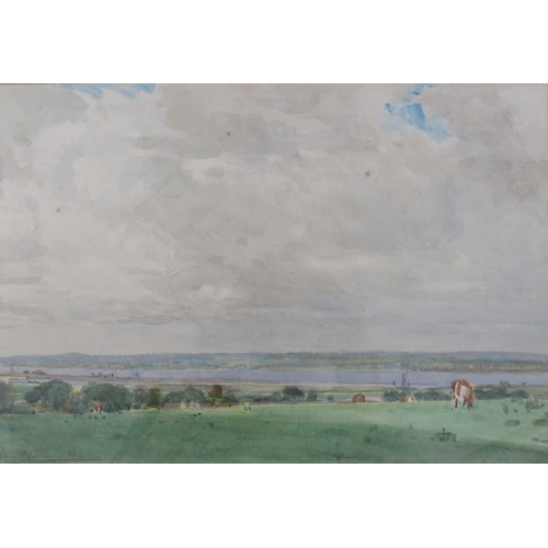 7033 - HENRY H. BATES: 20th Century watercolour depicting Broads river view with cow to foreground, 25cm x ... 