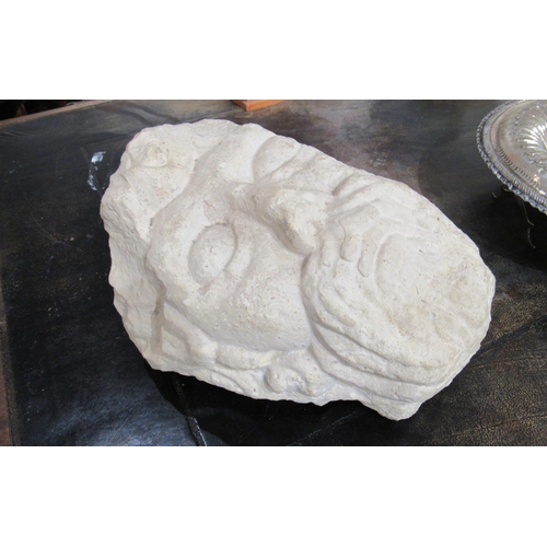 7149 - A carved limestone sculpture in the form of a head, 28cm x 20cm x 18cm