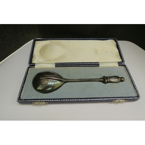 7369 - A B.S.C St Nicholas spoon, Sheffield 1966, 16cm long, 87g, in fitted case  (R)  £30