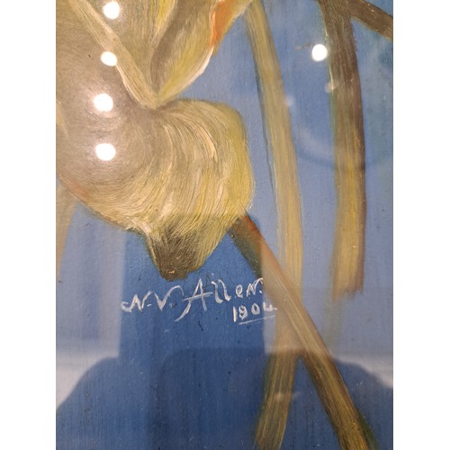 7513 - N.V. ALLEN (XIX-XX): An oil on board lilies, blue background, dated 1904, 39cm x 28cm, gilt framed  ... 