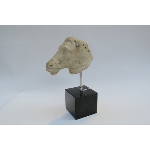 7245 - Possibly 18th Century marble carved head of a horse, 12cm tall x 16.5cm long, mounted on modern stan... 