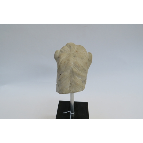 7245 - Possibly 18th Century marble carved head of a horse, 12cm tall x 16.5cm long, mounted on modern stan... 