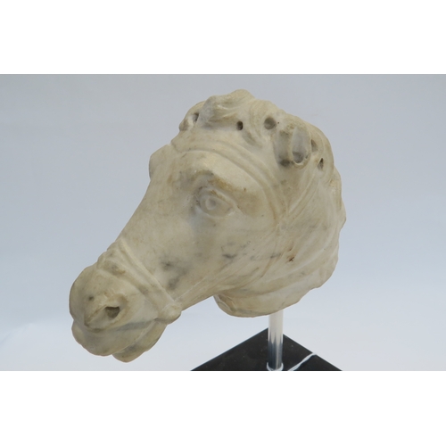 7245 - Possibly 18th Century marble carved head of a horse, 12cm tall x 16.5cm long, mounted on modern stan... 