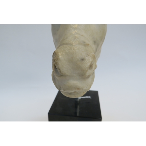 7245 - Possibly 18th Century marble carved head of a horse, 12cm tall x 16.5cm long, mounted on modern stan... 