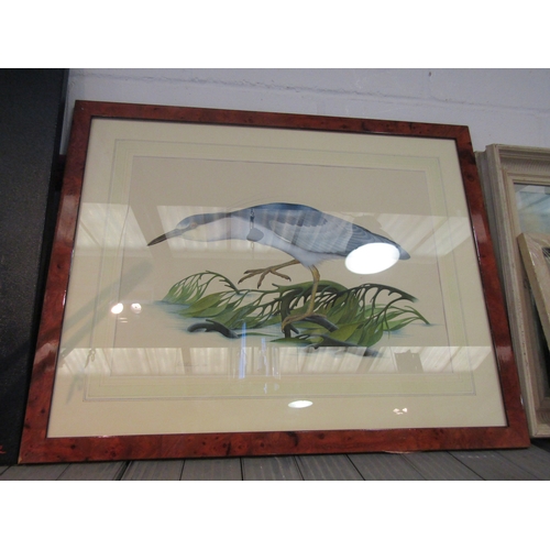 1246 - A framed and glazed watercolour of a Black Capped Night Heron. Indistinctly signed bottom left and d... 