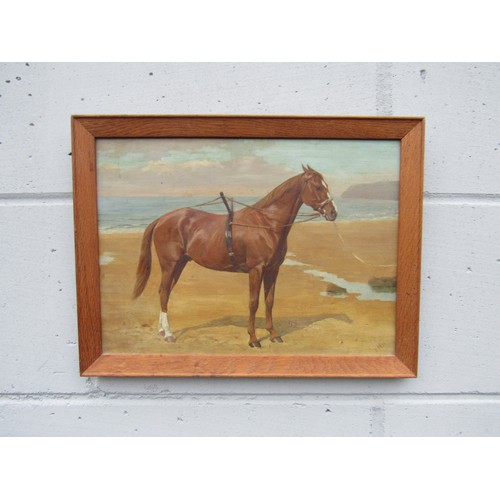 6108 - FRANCES MABEL HOLLAMS (1877-1963) (ARR) A framed oil on board of a Chestnut horse on a sandy beach. ... 