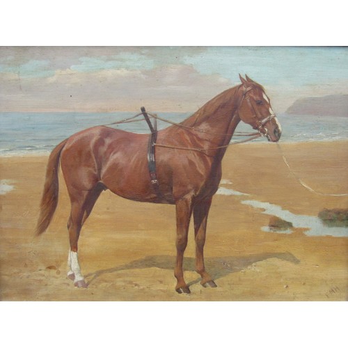 6108 - FRANCES MABEL HOLLAMS (1877-1963) (ARR) A framed oil on board of a Chestnut horse on a sandy beach. ... 