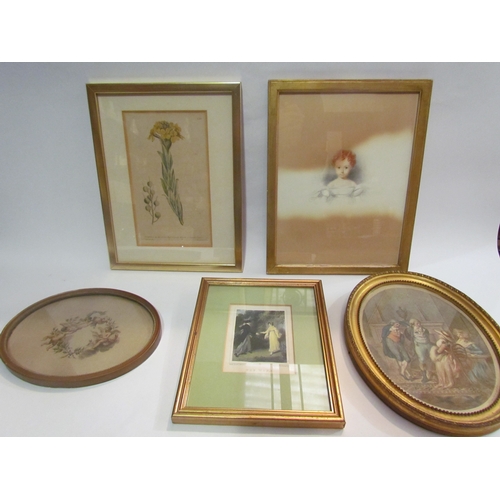 4384 - Five various gilt framed etchings and prints including Cherubs, People and floral specimen dated 179... 