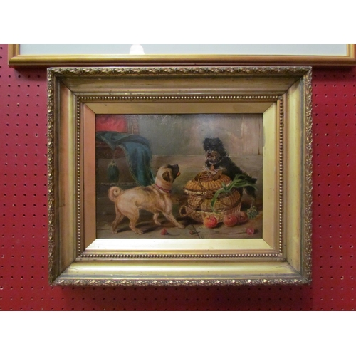 4102 - An oil on board depicting terrier on basket, pug looking on, gilded frame, scratch along centre, 23c... 