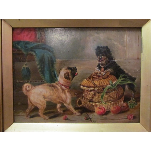 4102 - An oil on board depicting terrier on basket, pug looking on, gilded frame, scratch along centre, 23c... 