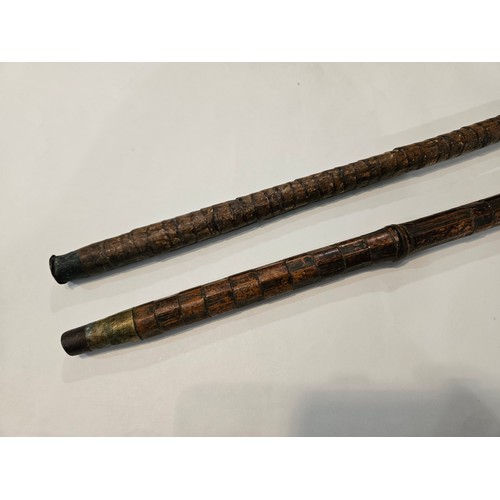 4011 - Two walking canes