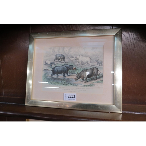 2144 - A 19th Century gilt framed print of  Hippo's and Rhino's   (C0