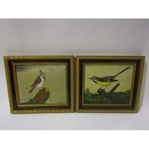 4254 - C.V. GLEED: Four oils on board of various birds, each signed and gilt framed, 17cm x 19cm image size... 