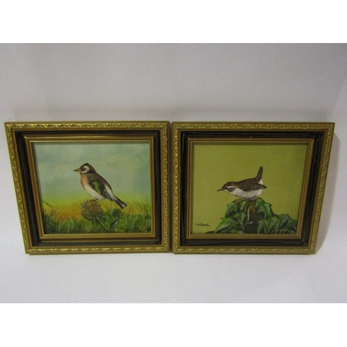 4254 - C.V. GLEED: Four oils on board of various birds, each signed and gilt framed, 17cm x 19cm image size... 