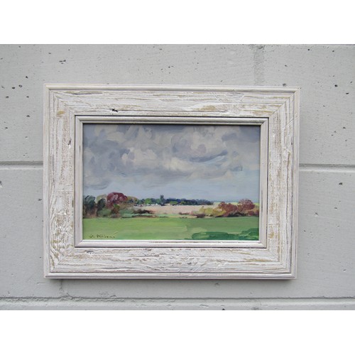 6067 - GEOFFREY WILSON (1920-2010)A framed oil on board, Marshes at Reedham. Signed bottom left. Image size... 