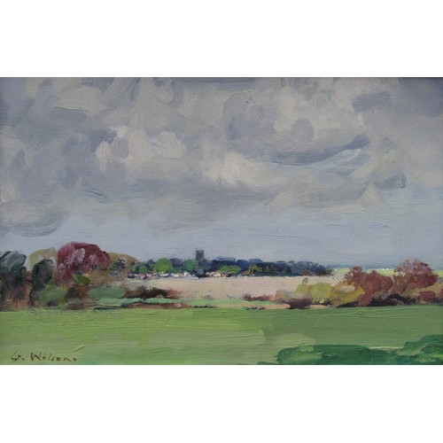 6067 - GEOFFREY WILSON (1920-2010)A framed oil on board, Marshes at Reedham. Signed bottom left. Image size... 