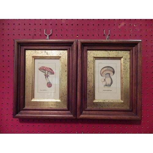 1130 - A pair of ink and watercolours, still-life mushrooms, framed and glazed, 10cm x 7cm image sizes