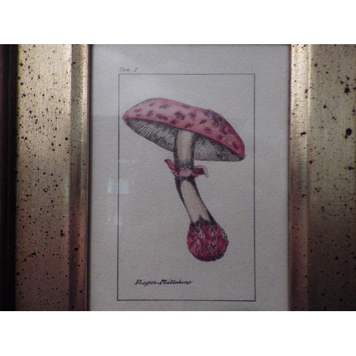 1130 - A pair of ink and watercolours, still-life mushrooms, framed and glazed, 10cm x 7cm image sizes